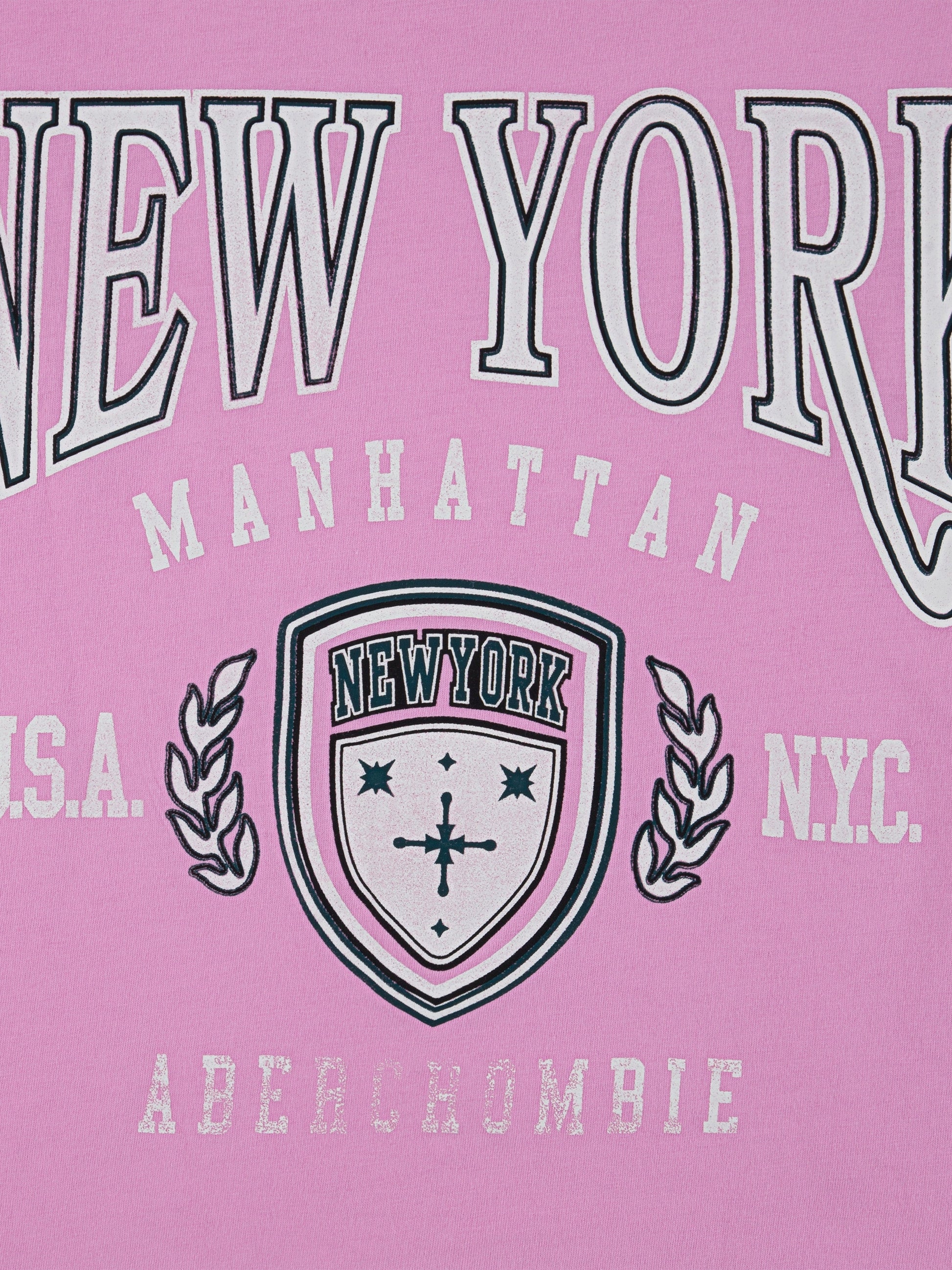 Abercrombie & Fitch Girls New York Crest Boxy T-Shirt in Pink Childsplay Clothing