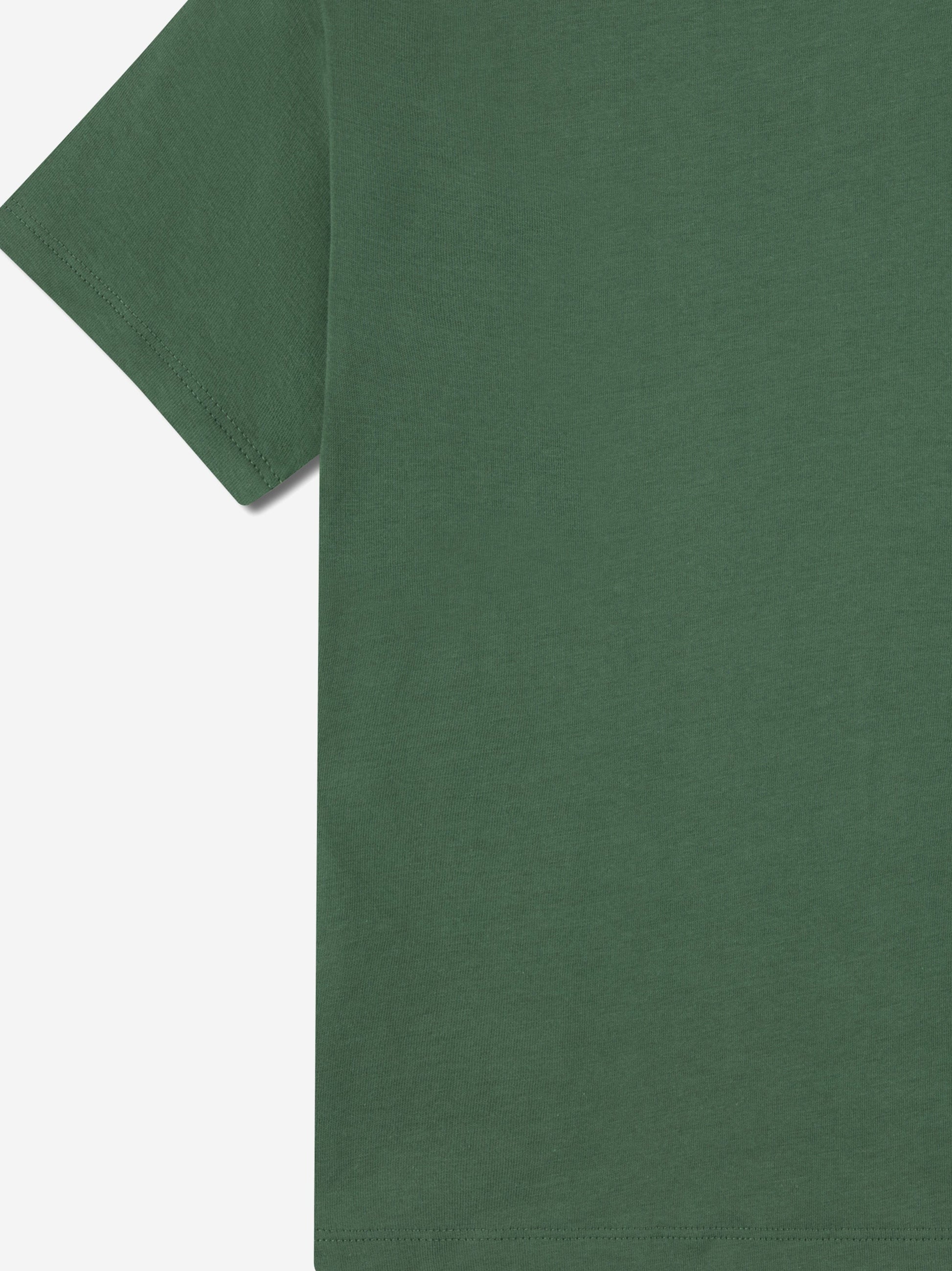 Lacoste Boys Logo T-Shirt in Green Childsplay Clothing