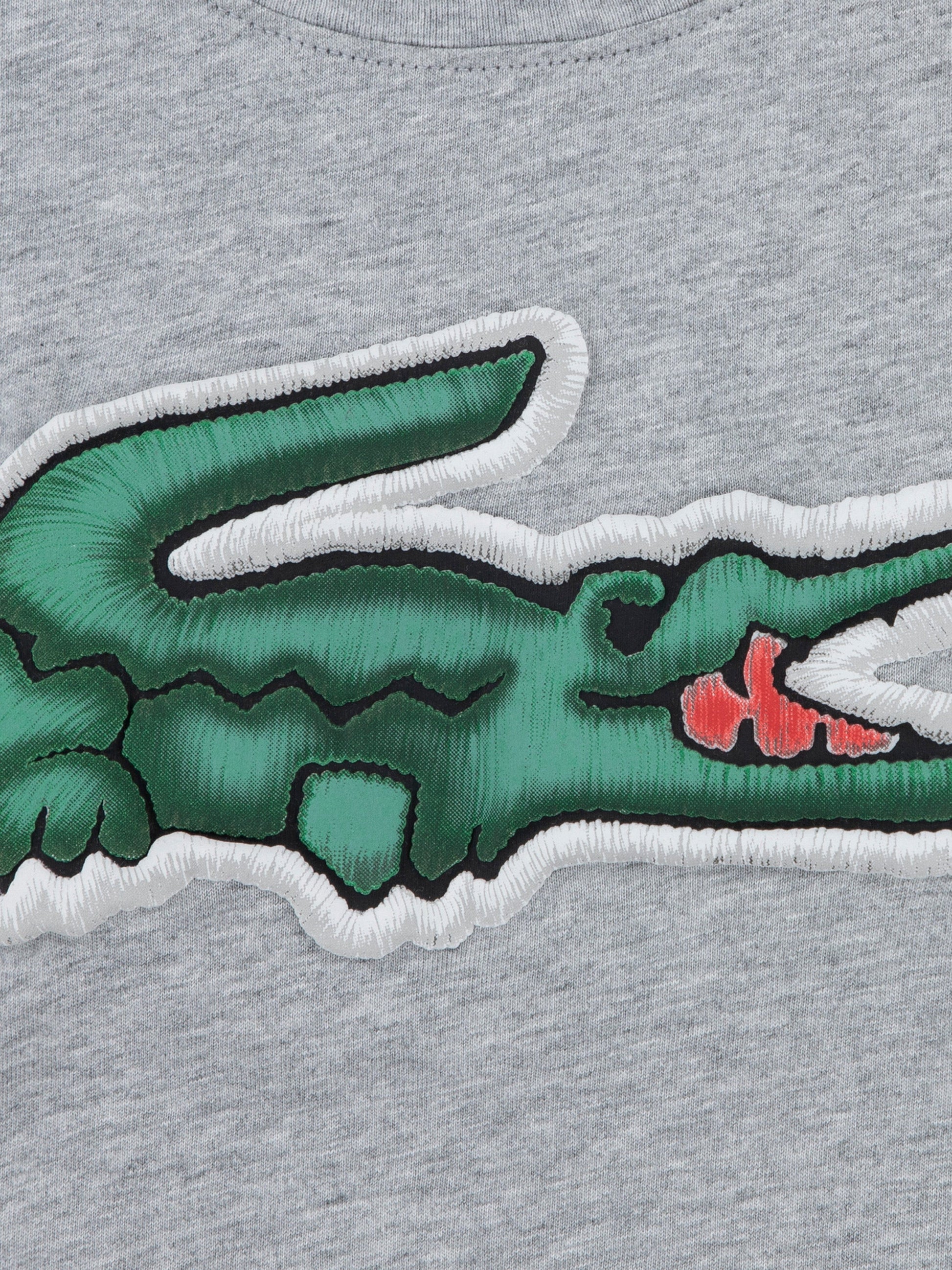 Lacoste Boys Logo T-Shirt in Grey Childsplay Clothing