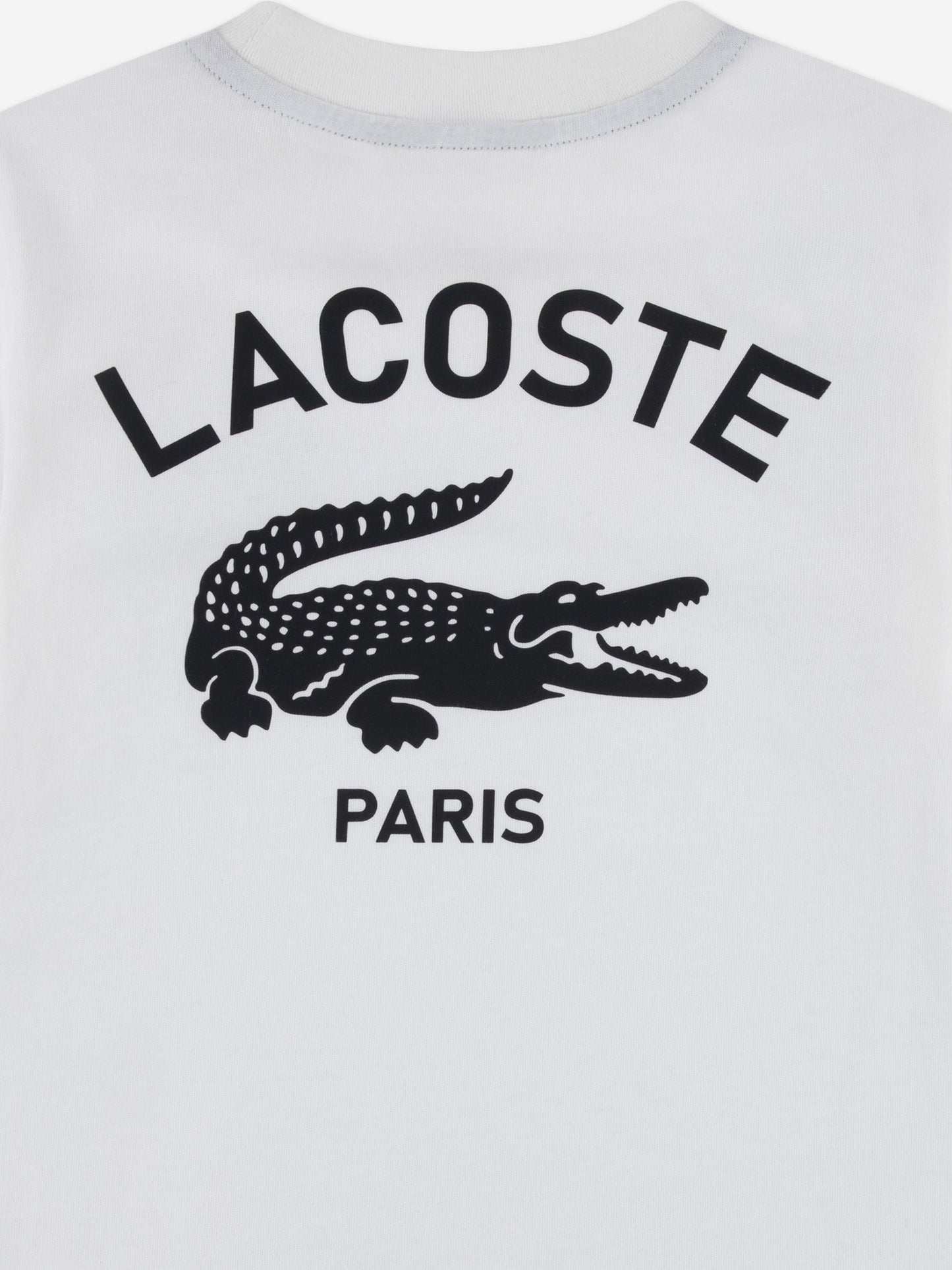 Lacoste Boys Graphic Core T-Shirt in Ivory Childsplay Clothing