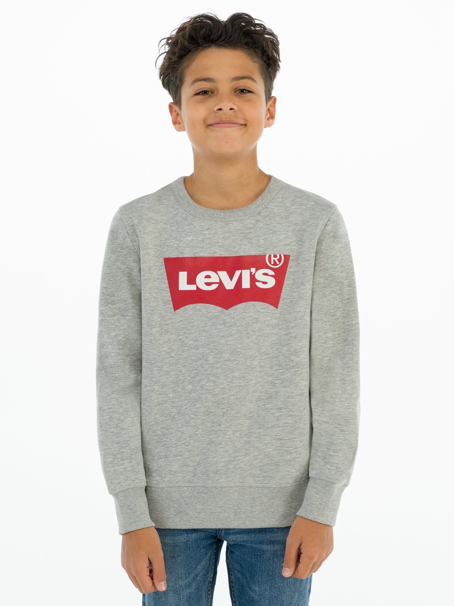Levi's Boys Batwing Crew Neck Sweatshirt in Grey Childsplay Clothing
