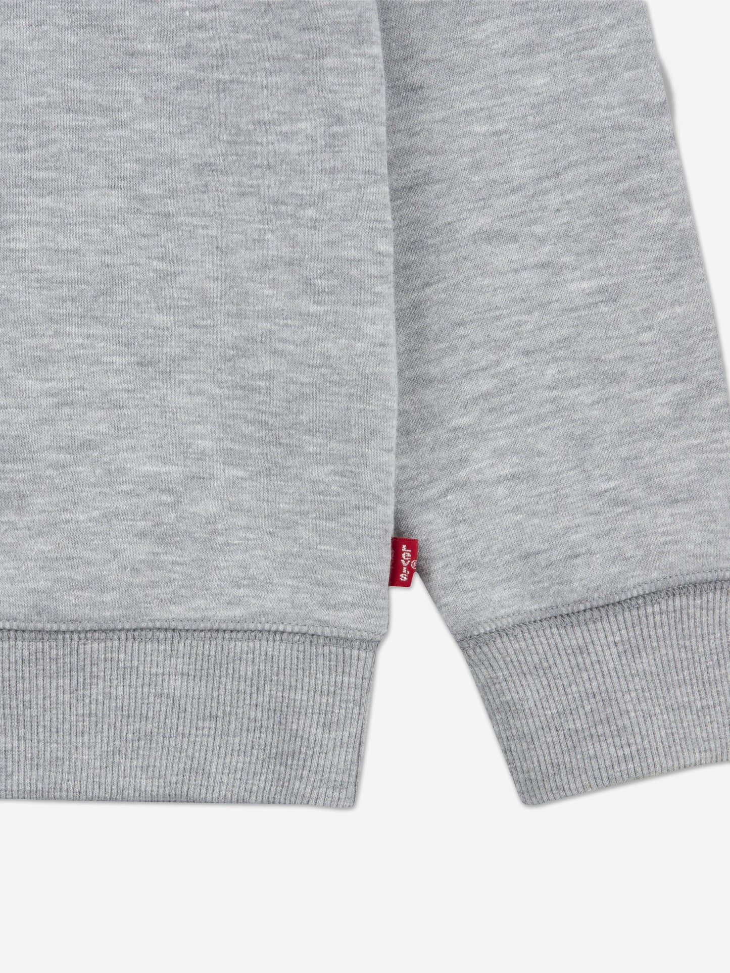 Levi's Boys Batwing Crew Neck Sweatshirt in Grey Childsplay Clothing