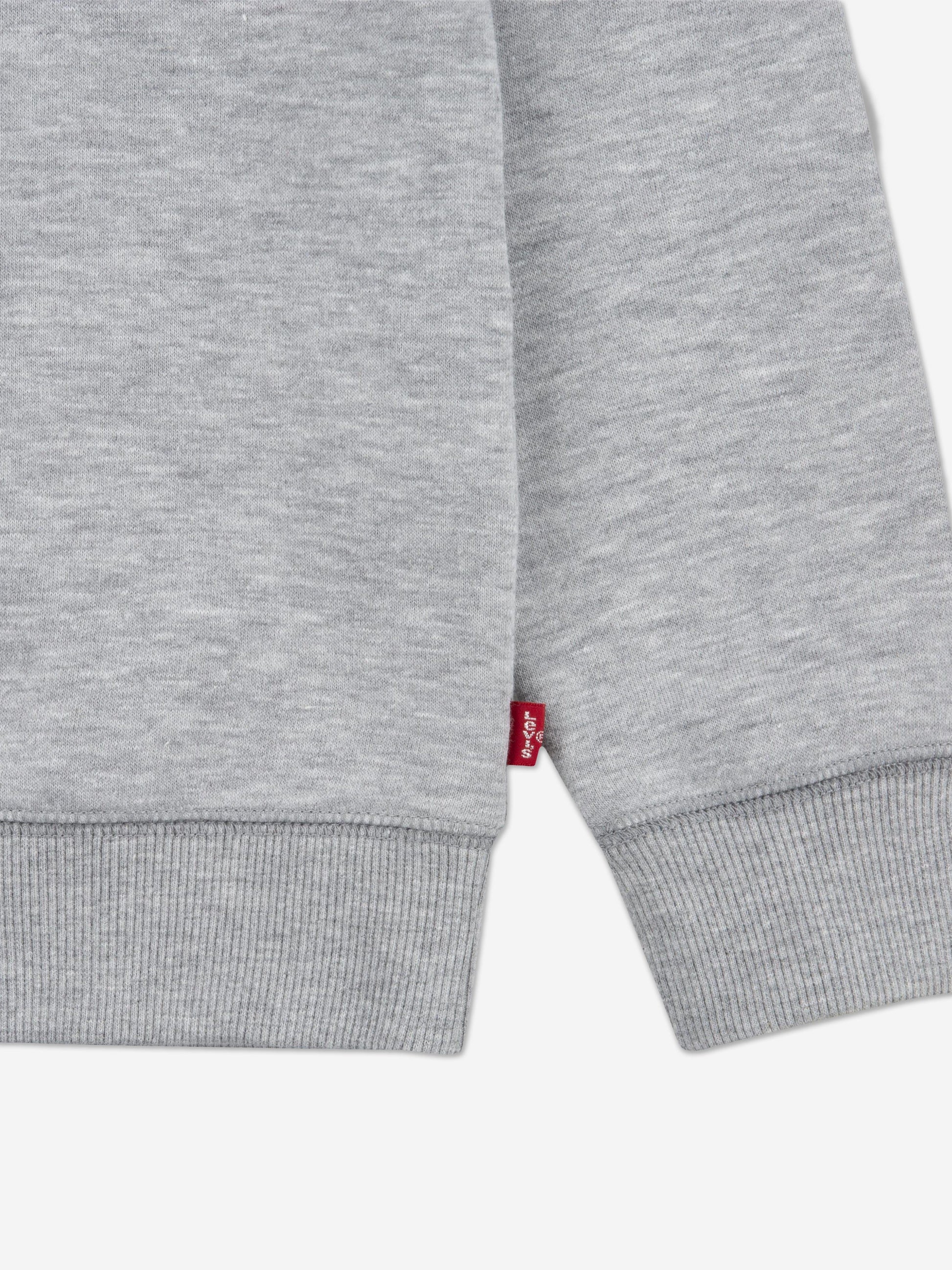 Levi's Boys Batwing Crew Neck Sweatshirt in Grey Childsplay Clothing
