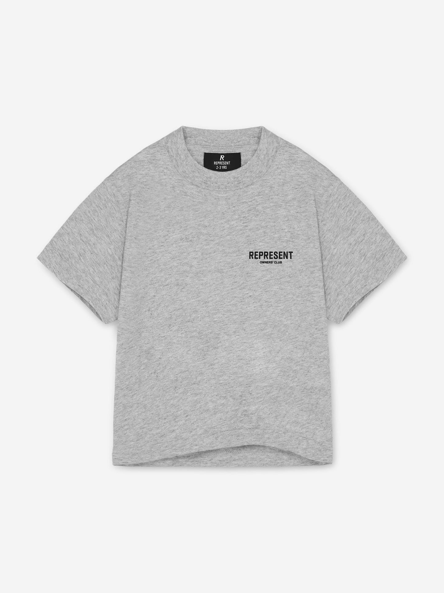 REPRESENT Kids Mini Owners Club T-Shirt in Grey Childsplay Clothing
